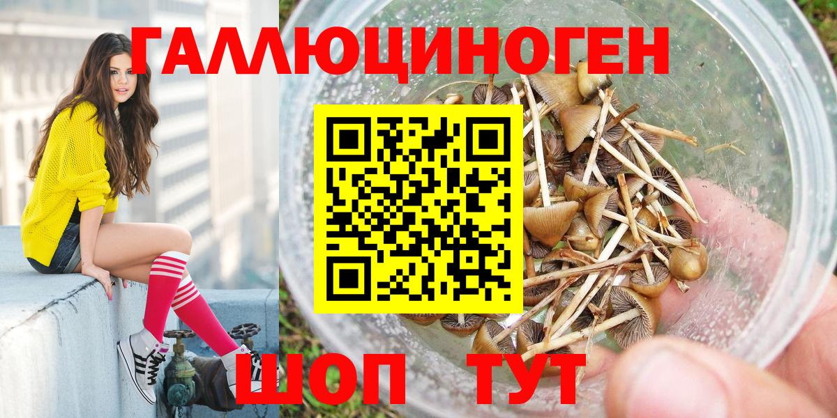 Псилоцибиновые грибы Magic Shrooms Кимры