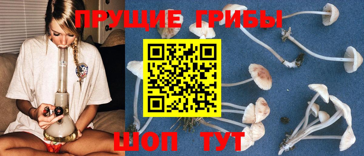 Codein Кимры